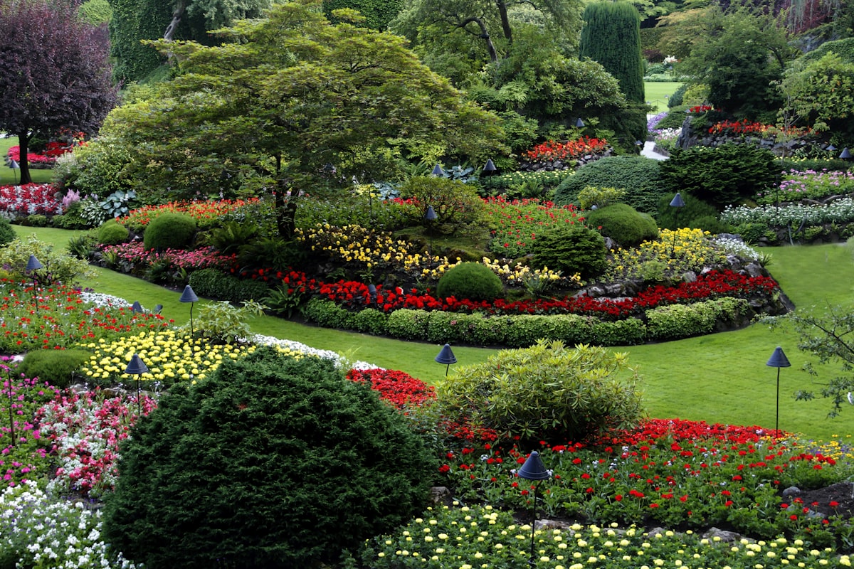 Landscaping